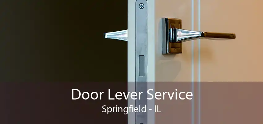 Door Lever Service Springfield - IL