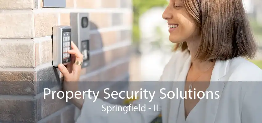 Property Security Solutions Springfield - IL